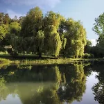 Comtesse De Dordogne *