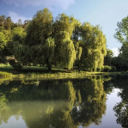 Comtesse De Dordogne *