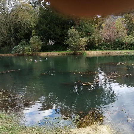 Comtesse De Dordogne *