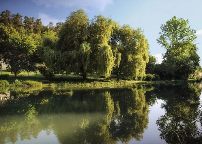 Comtesse De Dordogne *
