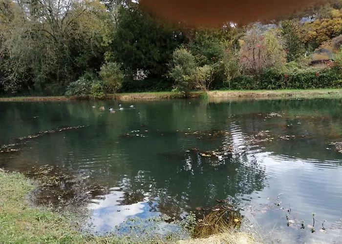 Comtesse De Dordogne *